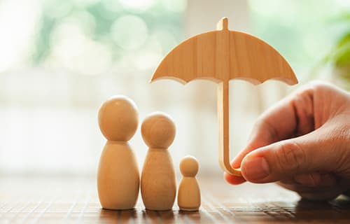 Life Insurance